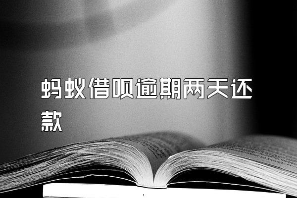 蚂蚁借呗逾期两天还款