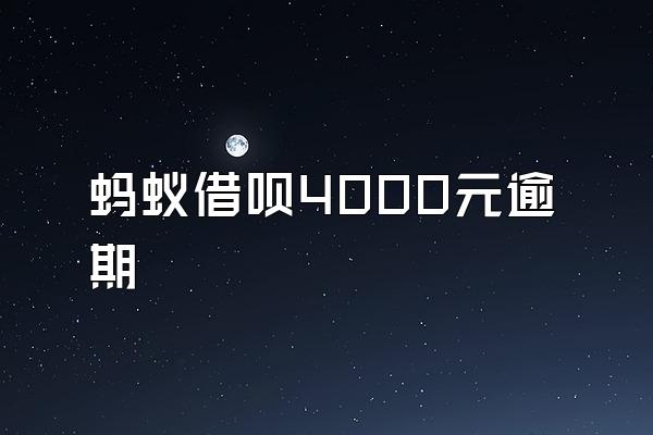 蚂蚁借呗4000元逾期