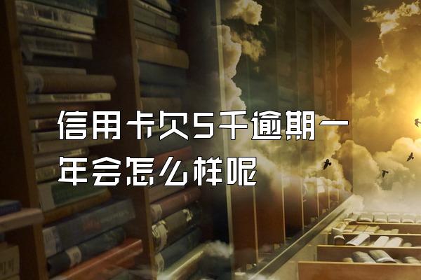 信用卡欠5千逾期一年会怎么样呢