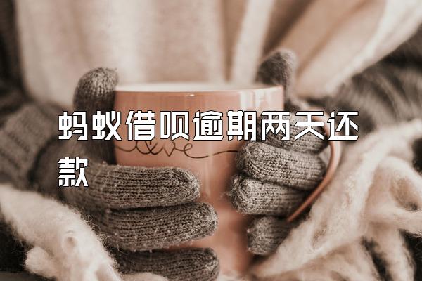 蚂蚁借呗逾期两天还款