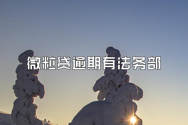 微粒贷逾期有法务部