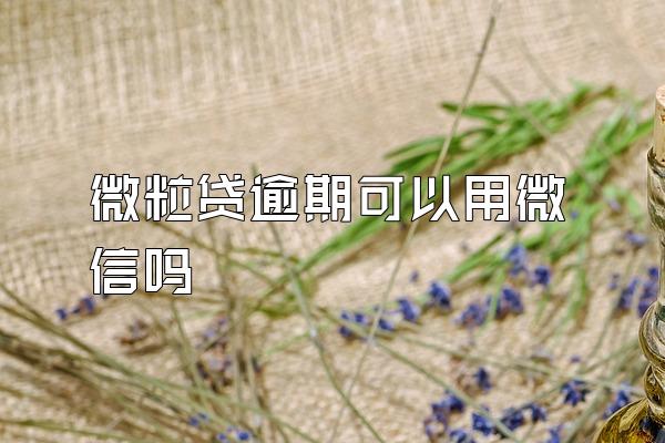 微粒贷逾期可以用微信吗