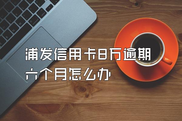 浦发信用卡8万逾期六个月怎么办