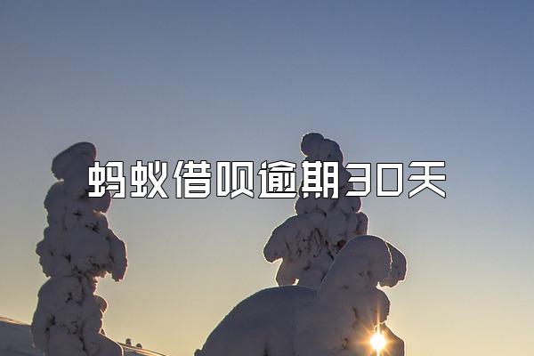 蚂蚁借呗逾期30天