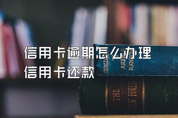 信用卡逾期怎么办理信用卡还款
