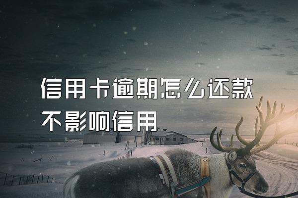 信用卡逾期怎么还款不影响信用