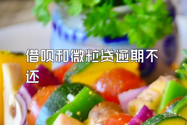 借呗和微粒贷逾期不还
