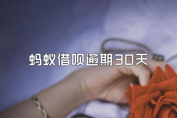 蚂蚁借呗逾期30天