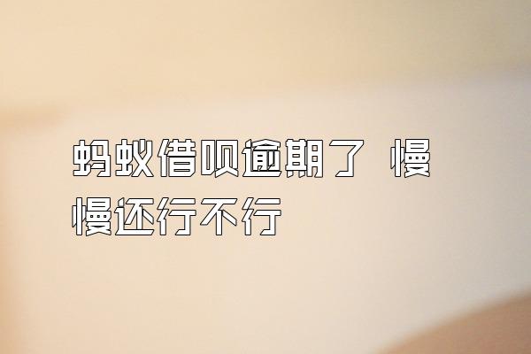 蚂蚁借呗逾期了 慢慢还行不行