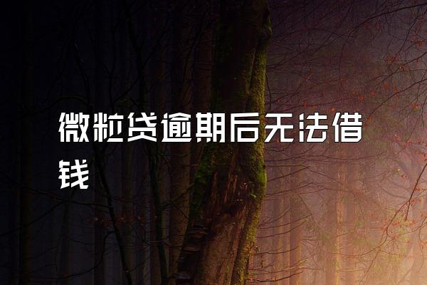 微粒贷逾期后无法借钱