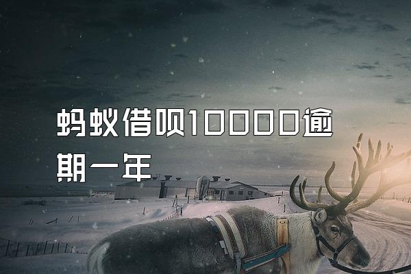 蚂蚁借呗10000逾期一年