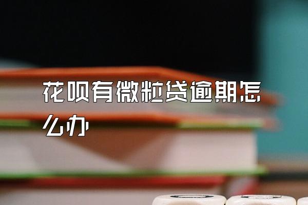 花呗有微粒贷逾期怎么办