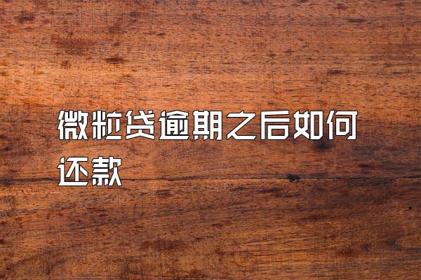 微粒贷逾期之后如何还款