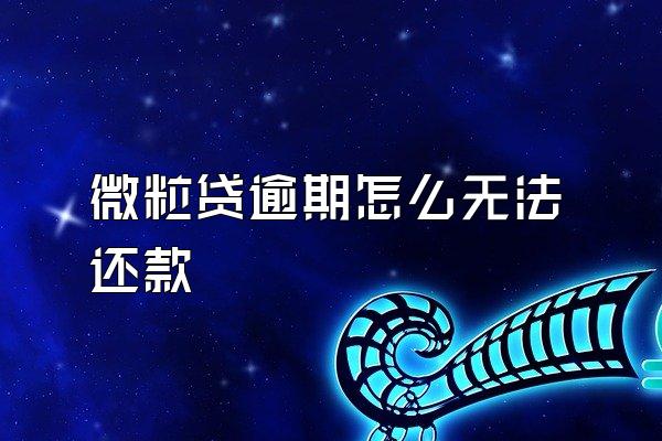 微粒贷逾期怎么无法还款