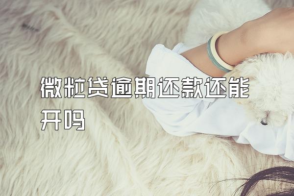 微粒贷逾期还款还能开吗