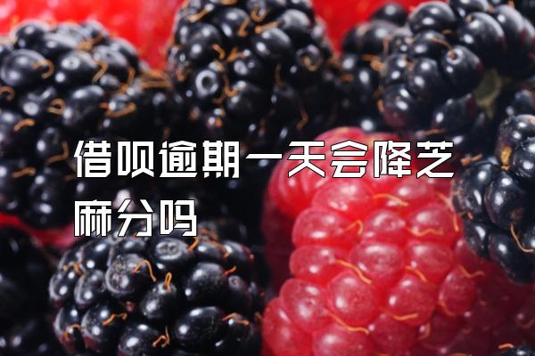 借呗逾期一天会降芝麻分吗
