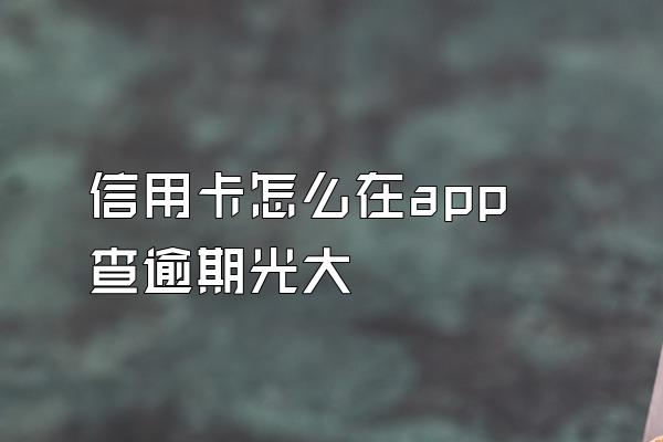 信用卡怎么在app查逾期光大