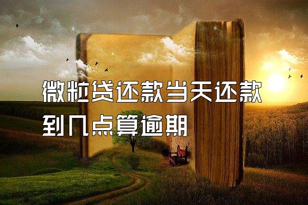 微粒贷还款当天还款到几点算逾期