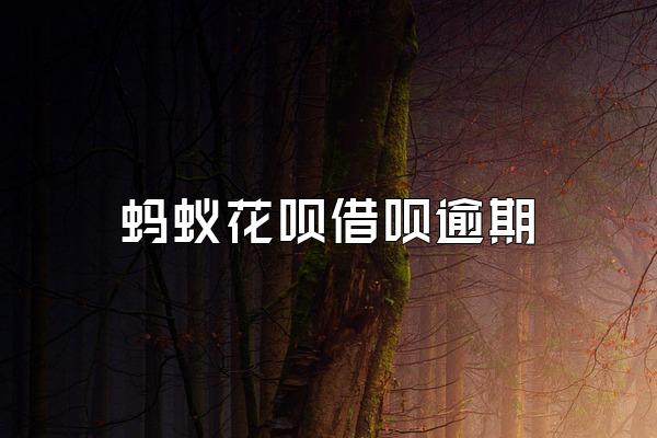 蚂蚁花呗借呗逾期