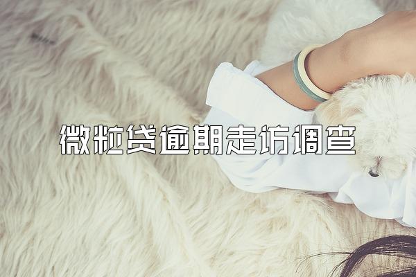 微粒贷逾期走访调查