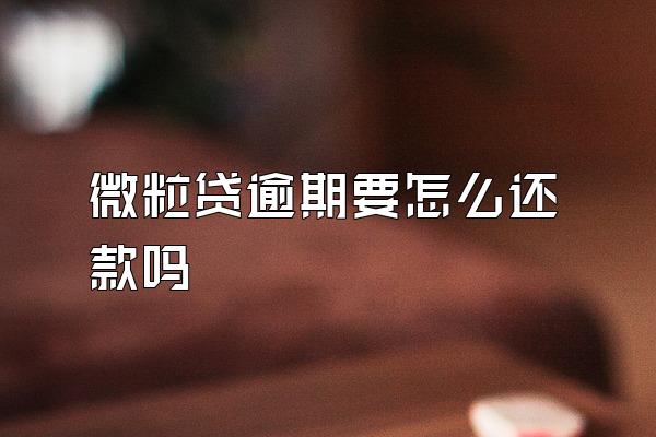 微粒贷逾期要怎么还款吗