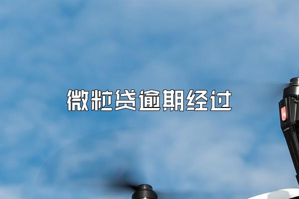 微粒贷逾期经过