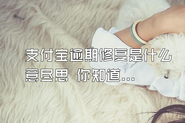 支付宝逾期修复是什么意尽思 你知道吗