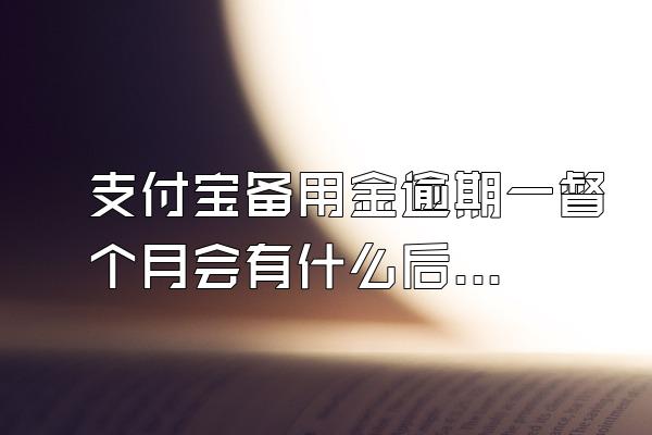 支付宝备用金逾期一督个月会有什么后果