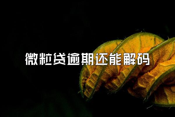 微粒贷逾期还能解码