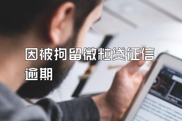 因被拘留微粒贷征信逾期