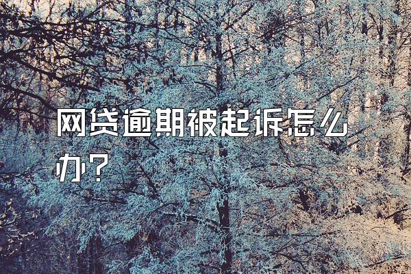 网贷逾期被起诉怎么办?