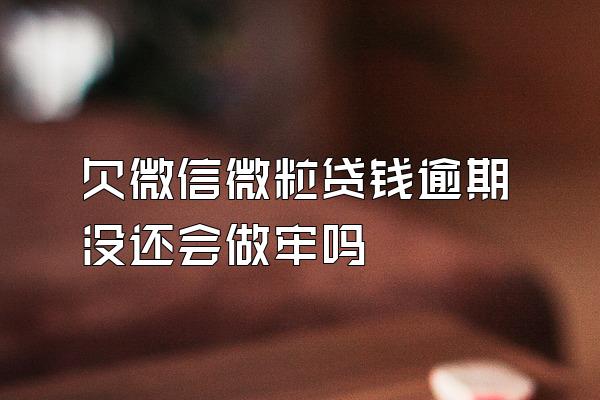 欠微信微粒贷钱逾期没还会做牢吗