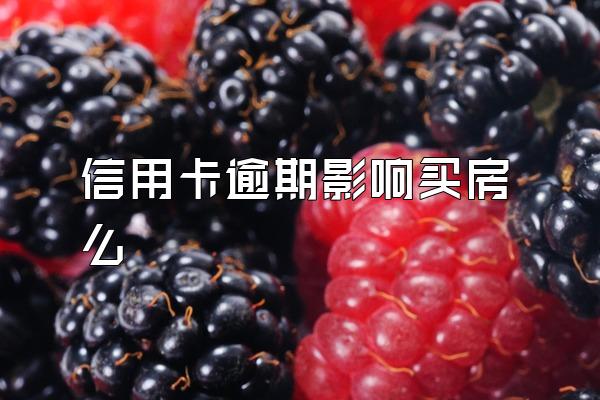 信用卡逾期影响买房么