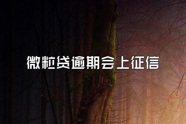 微粒贷逾期会上征信
