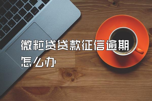 微粒贷贷款征信逾期怎么办
