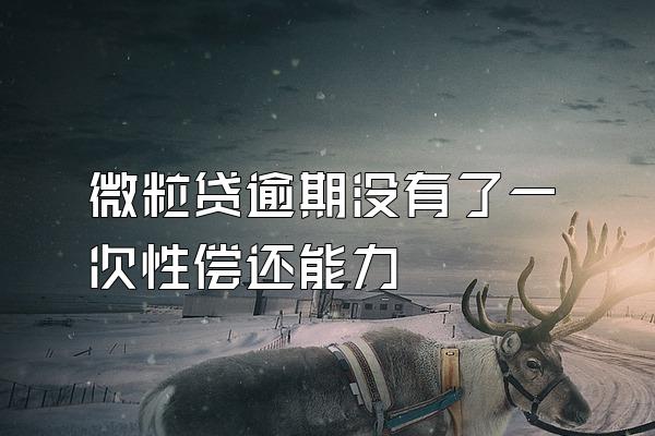 微粒贷逾期没有了一次性偿还能力
