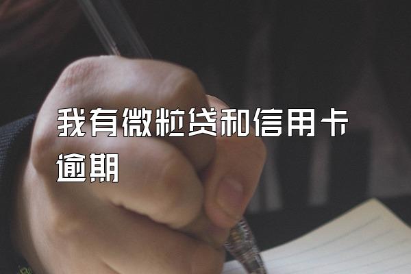 我有微粒贷和信用卡逾期