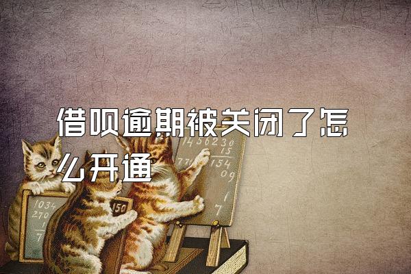 借呗逾期被关闭了怎么开通