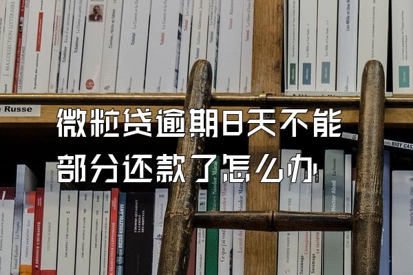微粒贷逾期8天不能部分还款了怎么办
