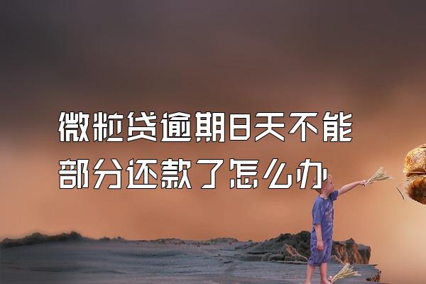 微粒贷逾期8天不能部分还款了怎么办