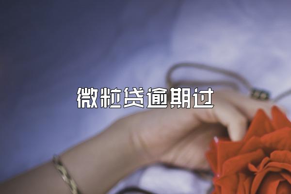微粒贷逾期过