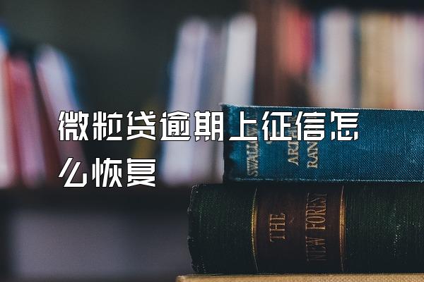 微粒贷逾期上征信怎么恢复