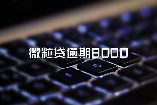 微粒贷逾期8000