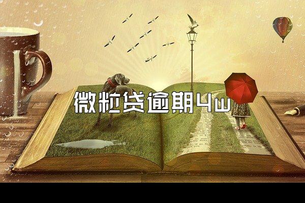 微粒贷逾期4w