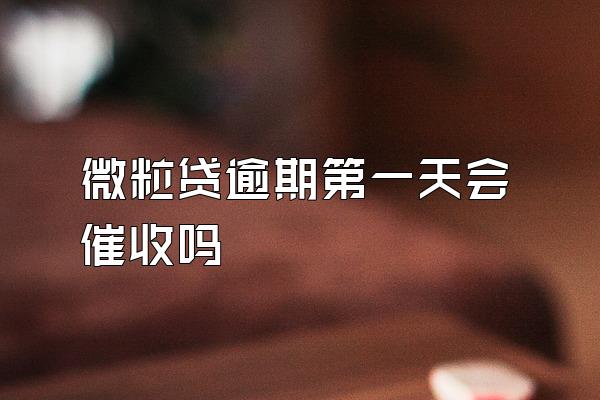 微粒贷逾期第一天会催收吗