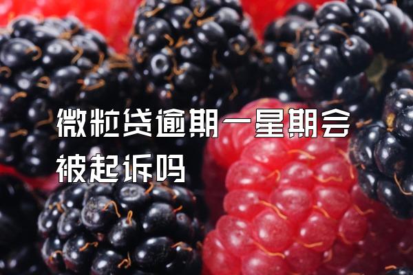 微粒贷逾期一星期会被起诉吗