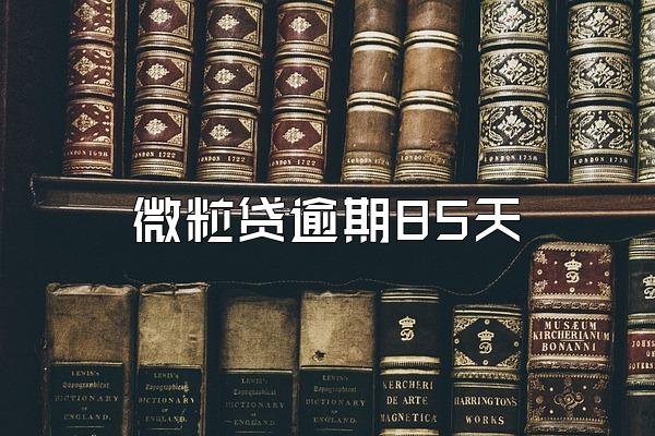 微粒贷逾期85天