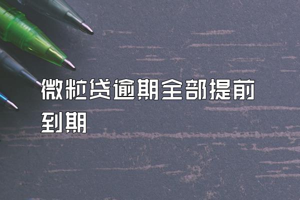 微粒贷逾期全部提前到期