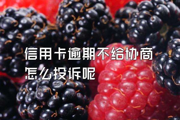 信用卡逾期不给协商怎么投诉呢