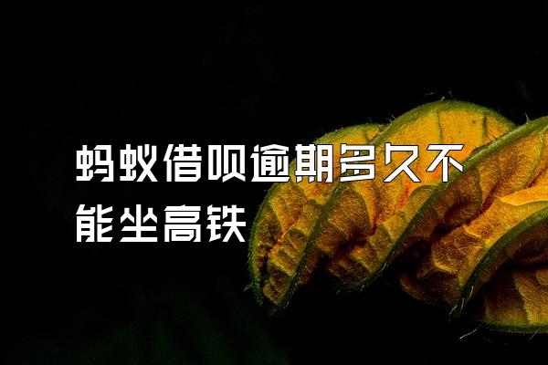 蚂蚁借呗逾期多久不能坐高铁